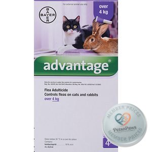 Advantage Large Cats 0.8 ml 4 Pipets, product pack