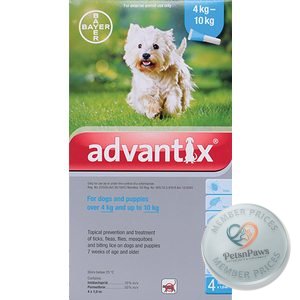 Advantix Medium Dog 4-10 kg 1 ml 4 Pip, product pack