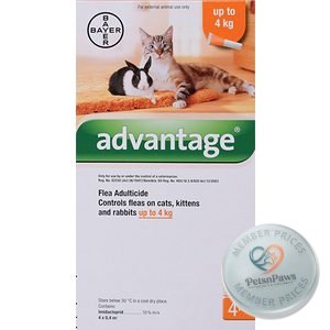 Advantage Small Cats 0.4ML 4 Pipets