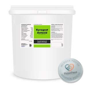 Kyrogest Antacid 320G X 12