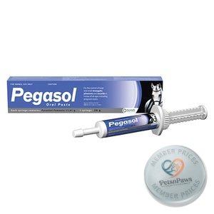 Pegasol Oral 26G Paste