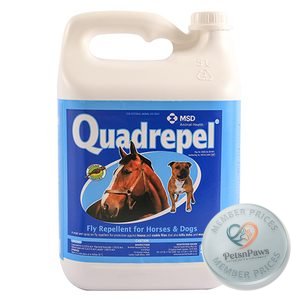 Quadrepel 5000ML