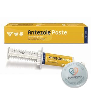 Antezole Paste 15ML Kyron