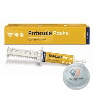 Antezole Paste 30ML Kyron