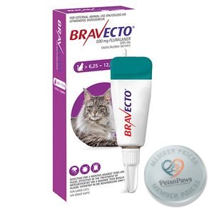 Bravecto Spot-On Cat Large 500MG 1