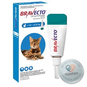 Bravecto Spot-On Cat Medium 250MG 1