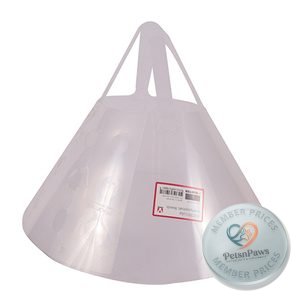 Buster Collar Brachy Large 1
