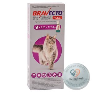 Bravecto Plus For Cats Large 500MG 1