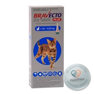 Bravecto Plus For Cats Medium 250MG 1