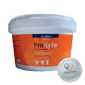 Pro-Lyte +Glutamine 80G X10 Powders